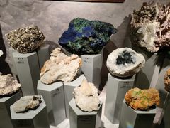 -正佳自然科学博物馆