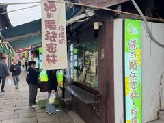 -猫的魔法密林(衣裳街店)