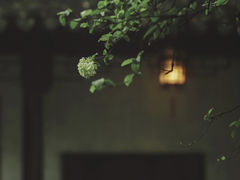 -六出私塾LiuChu•成人美术书法系统课程专业画室(熊婆婆的花园店)