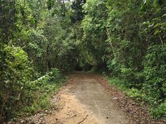 -海南霸王岭国家森林公园