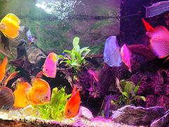 -上海海洋水族馆