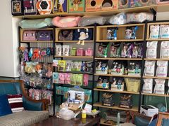 -欧奕国际动物医院