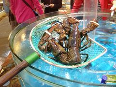 龙虾-御唐府海珊瑚主题餐厅