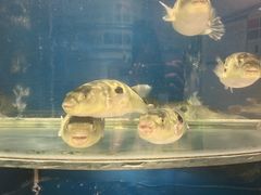 -永安鱼庄·镇江菜(东吴路店)