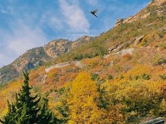 -青岛崂山太清宫