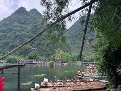 -靖西鹅泉风景区