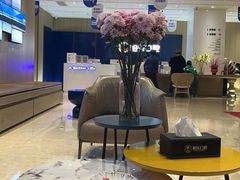 -柏乐口腔医院·舒适化无痛种植牙中心(东盟商务区院)