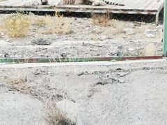 -新疆天山野生动物园