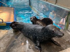 -成都浩海立方海洋公园