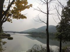 -长广溪湿地公园