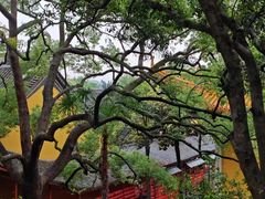-杭州植物园
