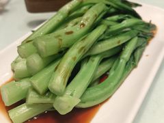 -金鼎轩(方庄天坛店)