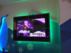 -米乐星世界KTV