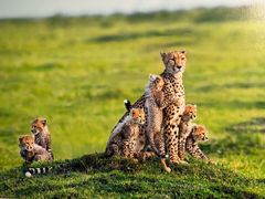 -罗红摄影艺术馆