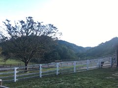 -神户市立六甲山牧场