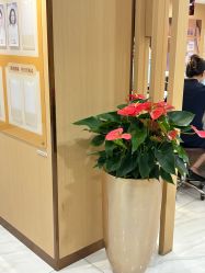 -南京康美美容医院·旗舰店