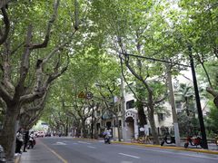 -Boxing Cat Brewery拳击猫精酿啤酒馆(思南公馆店)
