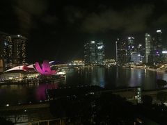 -新加坡丽思卡尔顿美年酒店