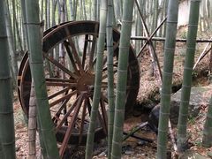 -江南天池