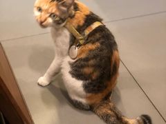 -Again Coffee Roaster(香蜜湖店)