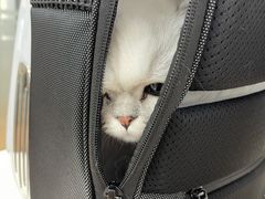 -宠颐生中康贝怡动物医院