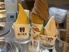 -野人先生现做冰淇淋(北京环宇荟店)