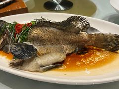 -绿岛国际酒店·海鲜酒楼(八七路店)