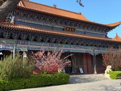 -大悲禅寺