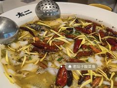 -太二酸菜鱼(石家庄万象城店)