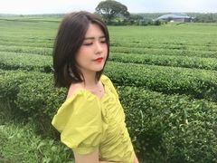 -雪绿茶博物馆
