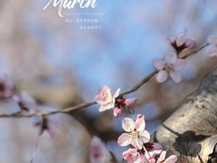 -瀛海足球主题公园