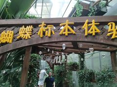 -天目湖山水园