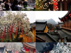 -灵隐飞来峰景区