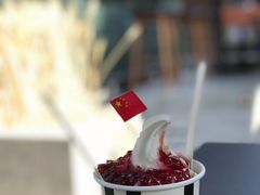 -JW德国冻酸奶Frozen Yogurt(龙湖成都滨江天街店)