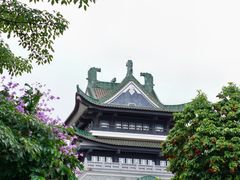 -荔湾湖公园