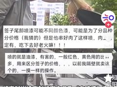 -杨婆婆烤肉(文昌阁店)