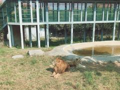 -西安秦岭野生动物园