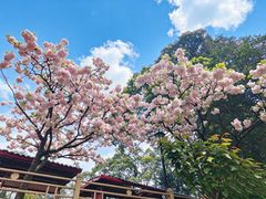 -窦圌山风景区