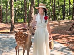 -南戴河国际娱乐中心