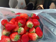 -乐乐鲜果水果超市(河北店)