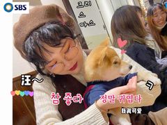 -逗柴咖啡屋·狗咖猫咖宠物桌游