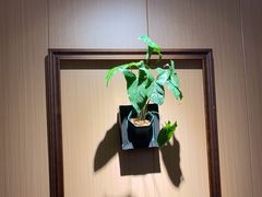 -米国现煲煲仔饭(塔子湖店)