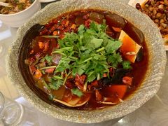 精品毛血旺-成都驻京办餐厅(蜀都宾馆店)