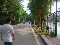 android_upload_pic-大沙河公园