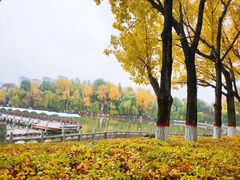 -西宁市人民公园(城西区)