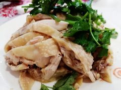 白斩鸡-振鼎鸡(福州路店)