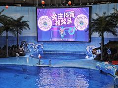 -海合安成都极地海洋公园
