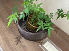 -梵几(东信·和创园店)