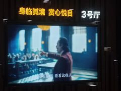 -武商摩尔影城(国广IMAX激光店)