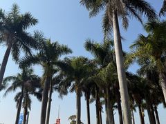-华侨公园